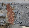What is Abrasive Filament? Understanding Its Diverse Applications