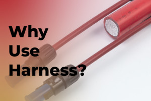 Tại sao chúng ta nên sử dụng dây nịt?