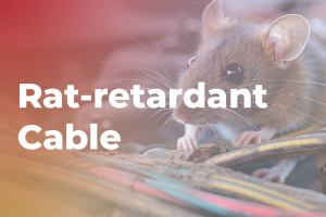 Những loại cáp nào có khả năng chống bị chuột cắn?