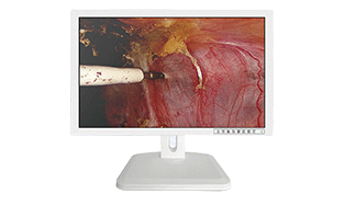 Veterinary Endoscopy Monitor: 6-Port Input, Anti-Bacterial Panel & Seamless Integration for Precision Diagnosis