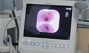 Why Every Vet Clinic Needs a Multifunctional Veterinary Image Video Processor