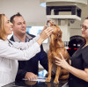 The New Version of the Endoscope Can Easily Perform Difficult Surgeries on Puppies and Reduce Their Pain.