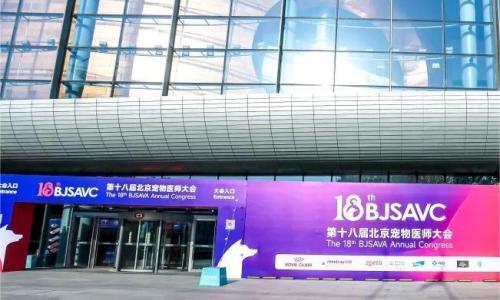 Jeet Medical attended the 18th BJSAVA Annual Congress