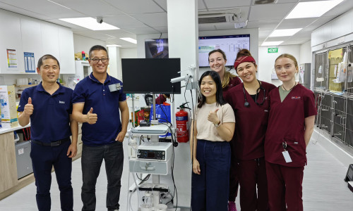 Elevating Veterinary Standards: JeetVet Impact at Veterinary Hospitals in Singapore