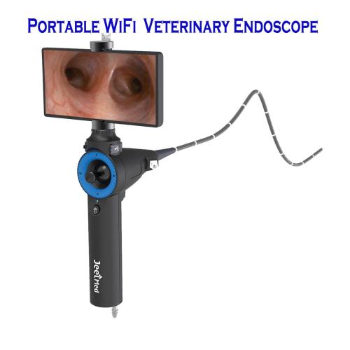 RAE-107 Portable WiFi Veterinary Endoscope | Water & Air Supply, Suction | Two Working Channels | operated by One Veterinarian