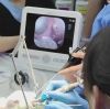 Why Every Vet Clinic Needs a Multifunctional Veterinary Image Video Processor