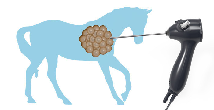 veterinary endoscope