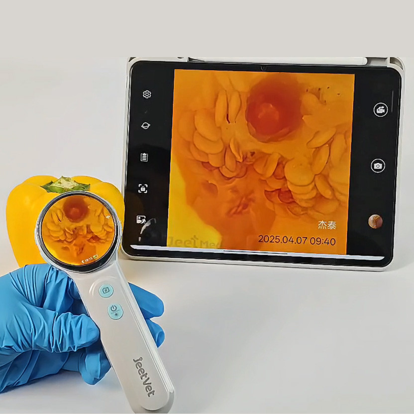 veterinary otoscope