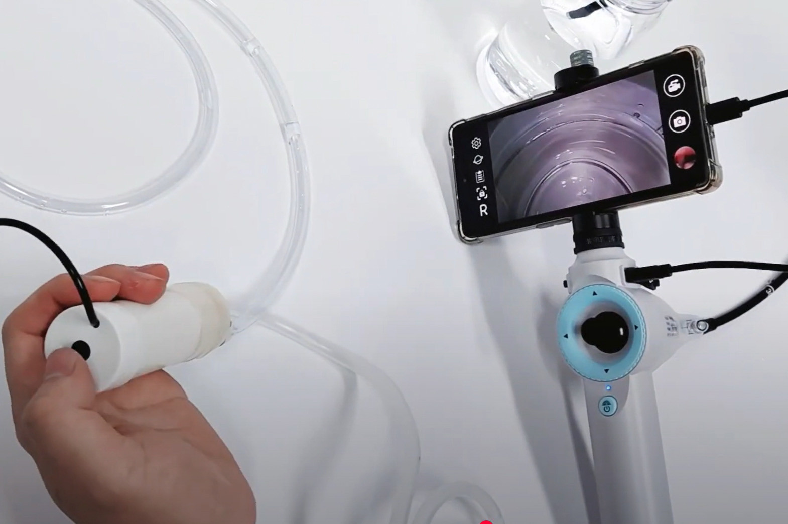 veterinary endoscope