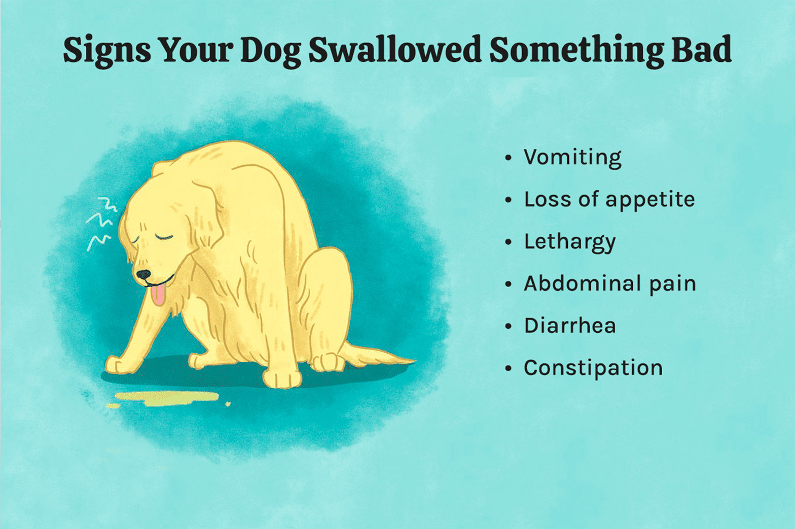 pet swallows a foreign object