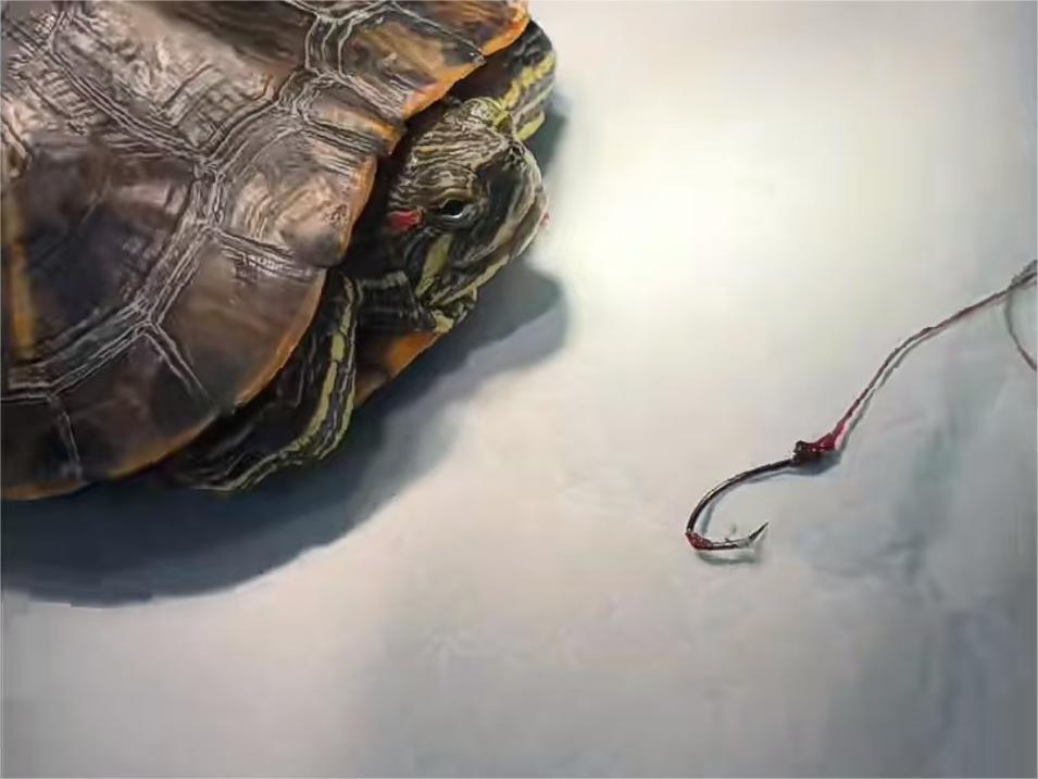 Veterinary endoscopy procedure in aquatic animals