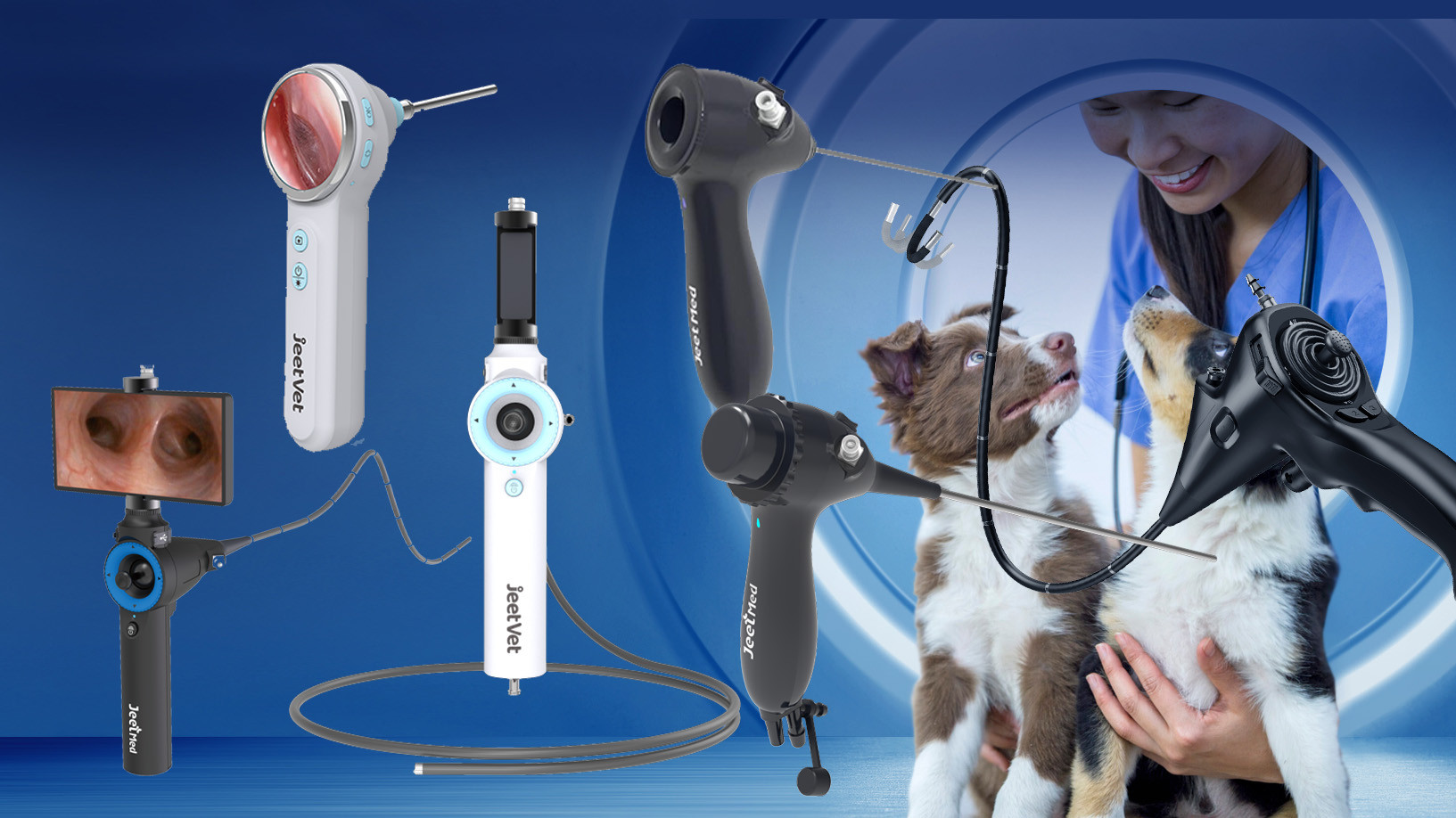 Ultimate Guide: How to Choose Veterinary Endoscopy Equipment
