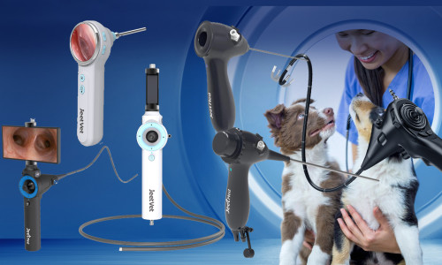 Ultimate Guide: How to Choose Veterinary Endoscopy Equipment