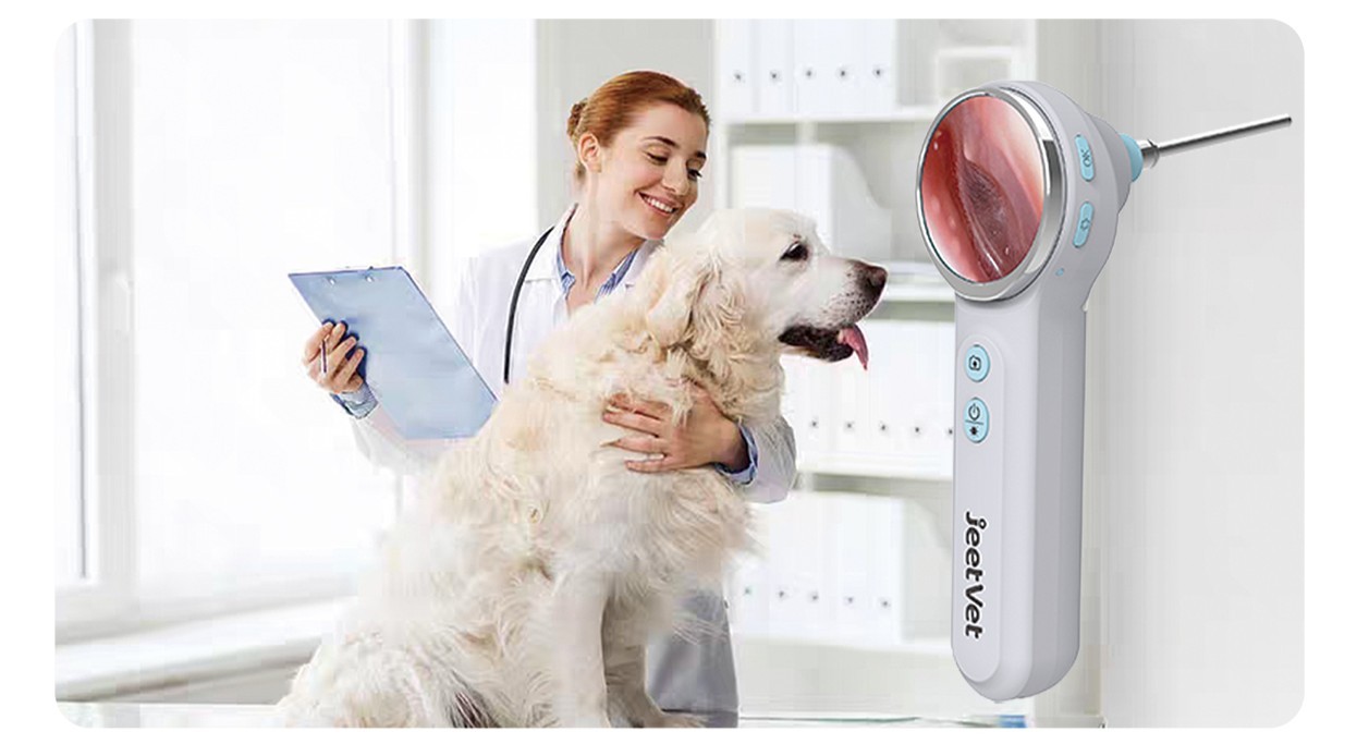Application of veterinary Otoscope