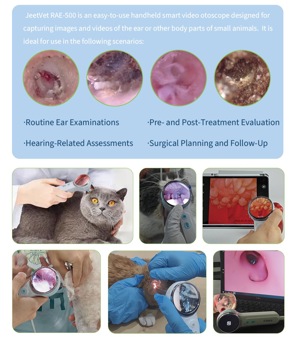 Application of veterinary Otoscope