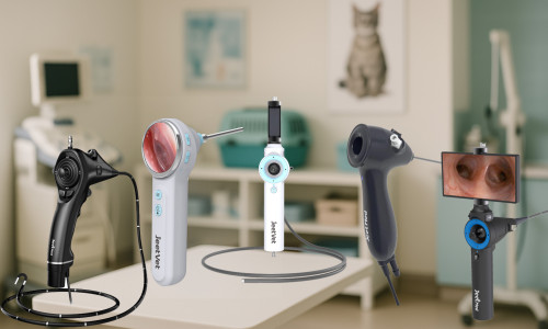 Meilleures marques d'endoscopes vétérinaires : découvrez pourquoi JeetVet est le choix judicieux
