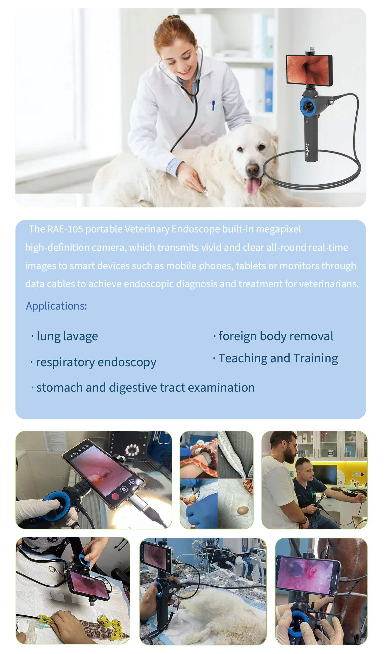 Application of veterinary Endoscope