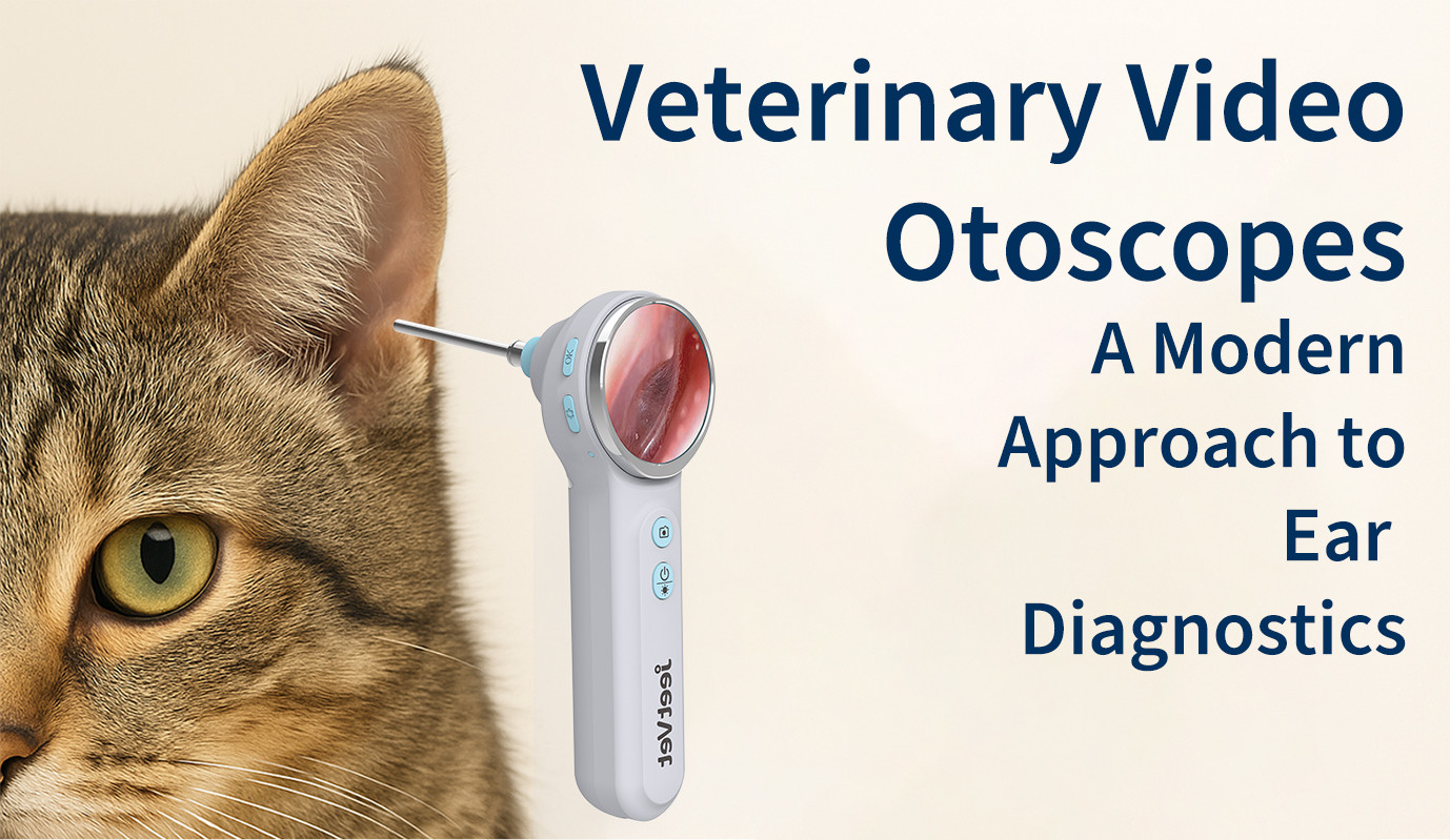 Veterinary Video Otoscopes: A Modern Approach to Ear Diagnostics