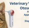 Veterinary Video Otoscopes: A Modern Approach to Ear Diagnostics