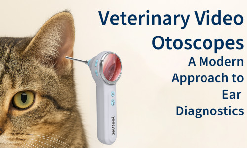 Veterinary Video Otoscopes: A Modern Approach to Ear Diagnostics