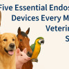 The Five Essential Endoscopic Devices Every Modern Veterinarian Should Know