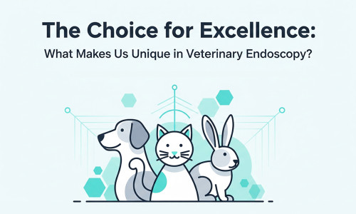 Le choix de l’excellence : qu’est-ce qui nous rend unique en endoscopie vétérinaire ?
