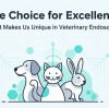 The Choice for Excellence: What Makes Us Unique in Veterinary Endoscopy?