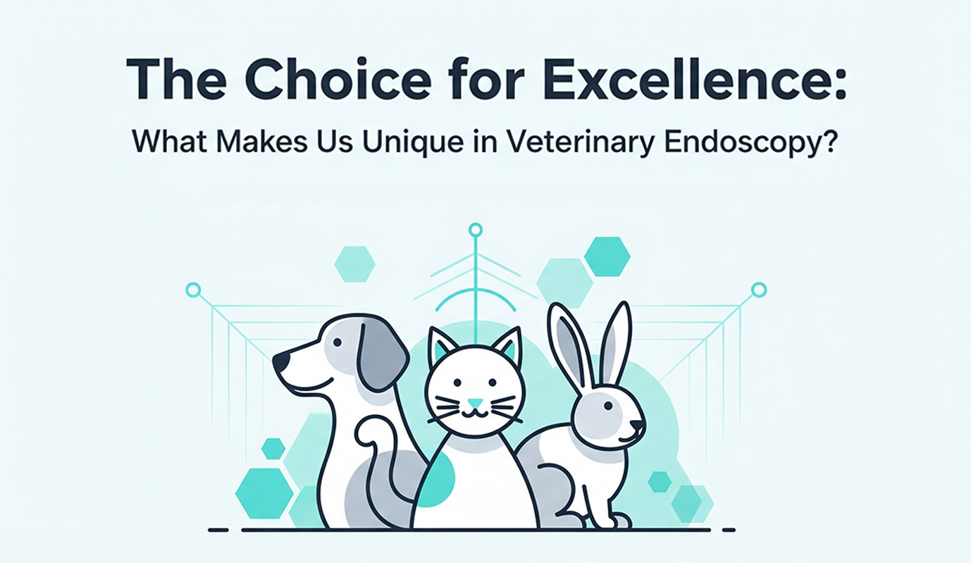 The Choice for Excellence: What Makes Us Unique in Veterinary Endoscopy?