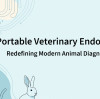 Portable Veterinary Endoscope: Redefining Modern Animal Diagnostics