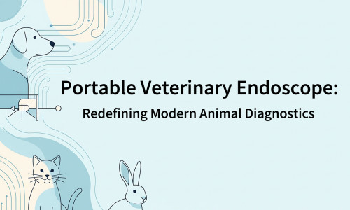 Endoscopio veterinario portátil: redefiniendo el diagnóstico animal moderno