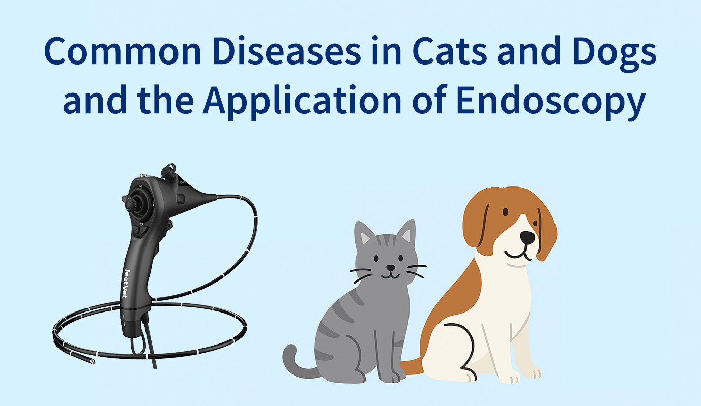 Common Diseases in Cats and Dogs and the Application of Endoscopy