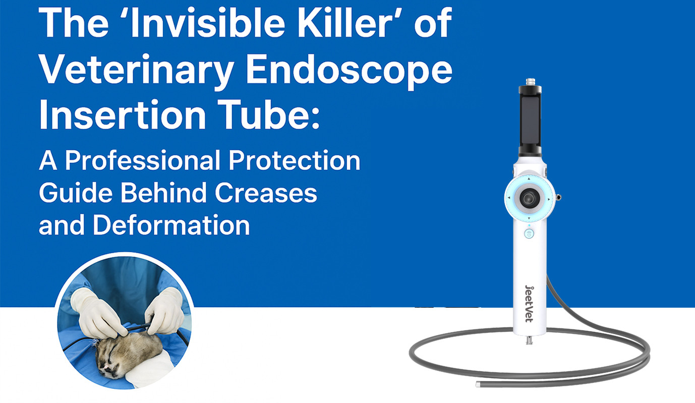The “Invisible Killer” of Veterinary Endoscope Insertion Tube: A Professional Protection Guide Behind Creases and Deformation