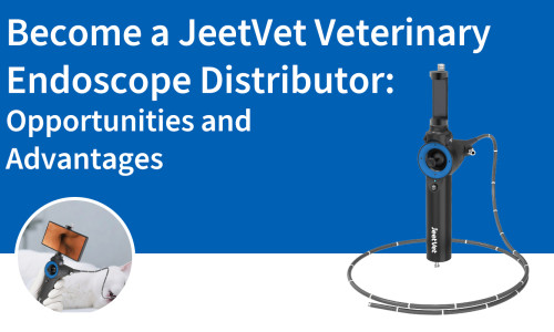 Devenir distributeur d'endoscopes vétérinaires JeetVet : opportunités et avantages