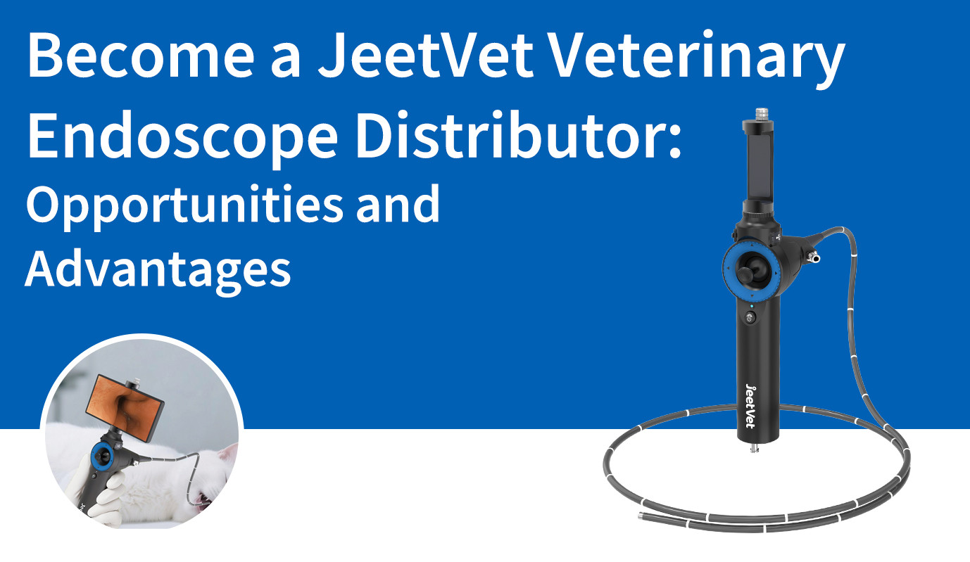 Devenir distributeur d'endoscopes vétérinaires JeetVet : opportunités et avantages