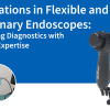 Innovations in Flexible and Rigid Veterinary Endoscopes: Advancing Diagnostics with JeetVet Expertise