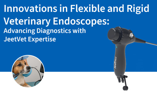 Innovaciones en endoscopios veterinarios flexibles y rígidos: avances en el diagnóstico con la experiencia de JeetVet