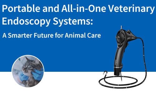 Sistemas de endoscopia veterinaria portátiles y todo en uno: un futuro más inteligente para el cuidado animal