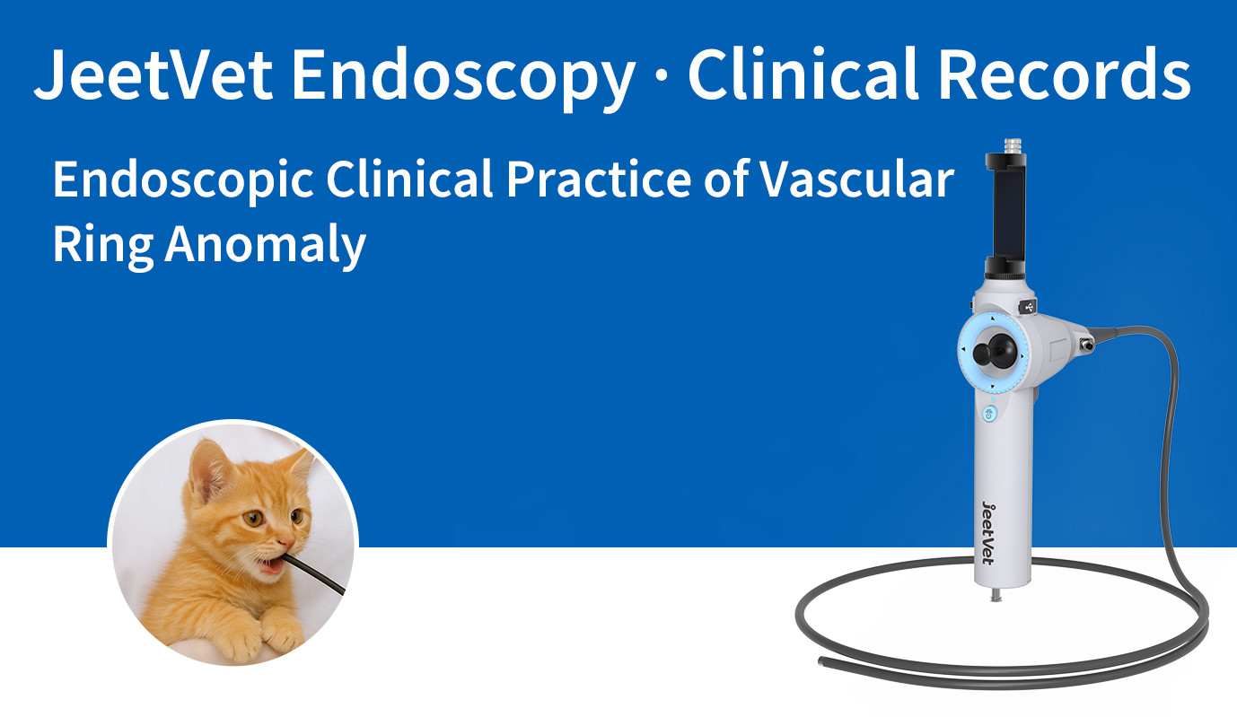 JeetVet Endoscopy · Historias Clínicas | Práctica Clínica Endoscópica de la Anomalía del Anillo Vascular