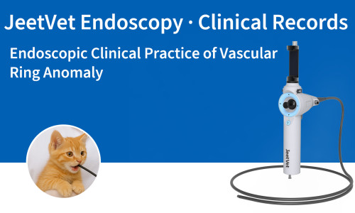 JeetVet Endoscopy · Historias Clínicas | Práctica Clínica Endoscópica de la Anomalía del Anillo Vascular