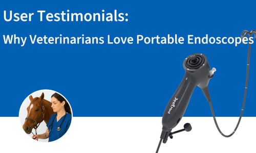 Témoignages d'utilisateurs : Pourquoi les vétérinaires adorent les endoscopes portables