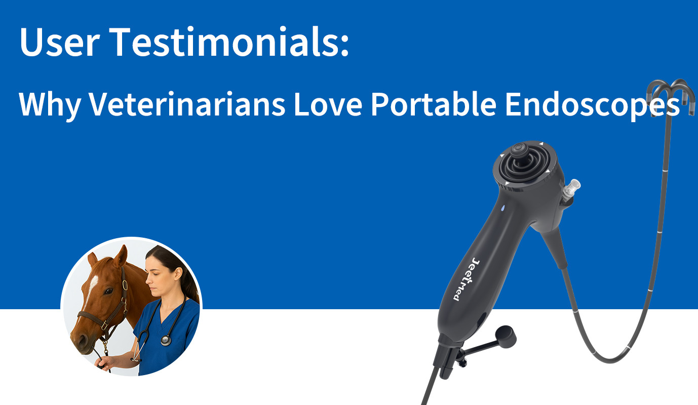 User Testimonials: Why Veterinarians Love Portable Endoscopes