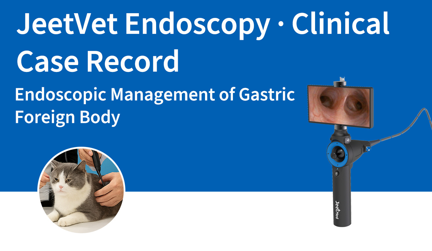 JeetVet Endoscopy · Clinical Case Record | Endoscopic Management of Gastric Foreign Body