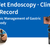JeetVet Endoscopy · Clinical Case Record | Endoscopic Management of Gastric Foreign Body