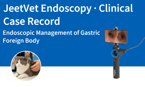 JeetVet Endoscopy · Historial de casos clínicos | Manejo endoscópico de cuerpos extraños gástricos