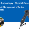 JeetVet Endoscopy · Clinical Case Record | Endoscopic Management of Gastric Foreign Body