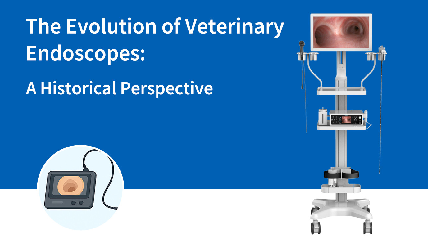The Evolution of Veterinary Endoscopes: A Historical Perspective
