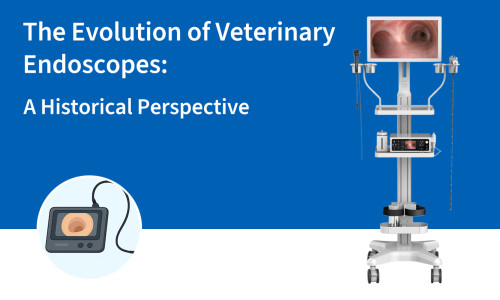 La evolución de los endoscopios veterinarios: una perspectiva histórica