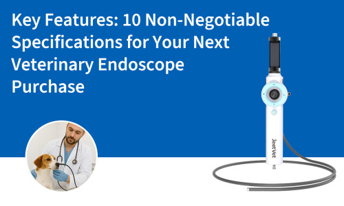 Caractéristiques principales : 10 spécifications non négociables pour votre prochain achat d'endoscope vétérinaire