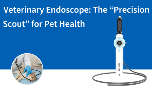 Endoscope vétérinaire : « L’éclaireur de précision » pour la santé des animaux de compagnie
