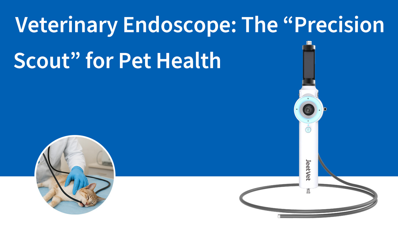 Veterinary Endoscope: The “Precision Scout” for Pet Health